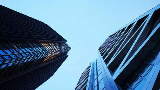 Service integration and multisourcing